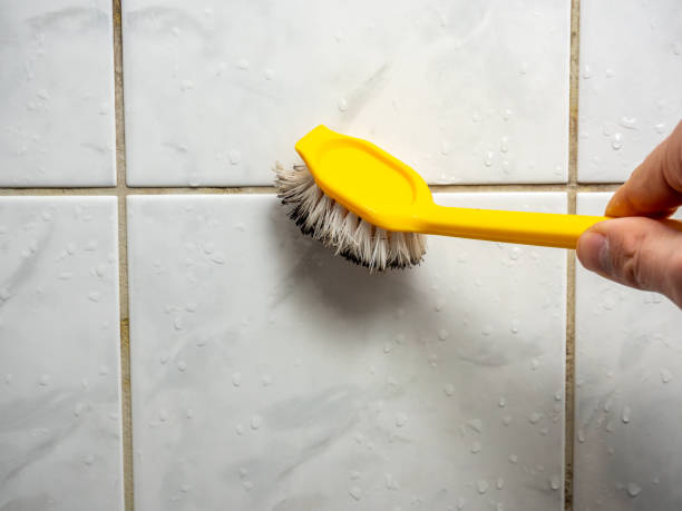 Best Local Mold Removal Service  in Dawson, MN