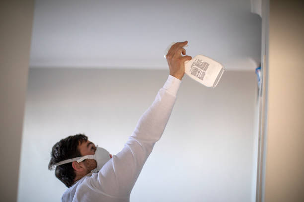 Professional Mold Removal in Dawson, MN