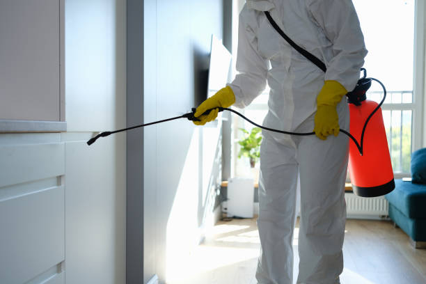 Home Mold Removal in Dawson, MN