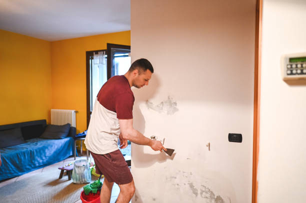 Best Mold Testing and Removal  in Dawson, MN